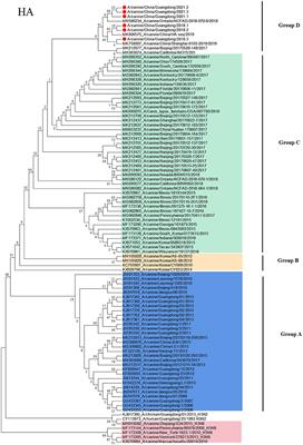 Isolation and Genetic Characterization of Emerging H3N2 Canine Influenza Virus in Guangdong Province, Southern China, 2018–2021